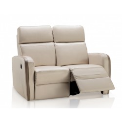 Argentina Leather Loveseat with Electrical Recliners