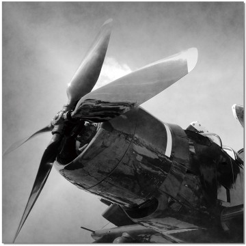 Vintage Airplane B&W Wall Print