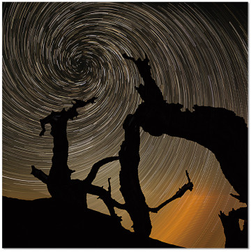 Spinning Nature Wall Print