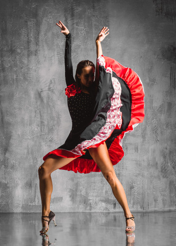 Dance the Flamenco Wall Print