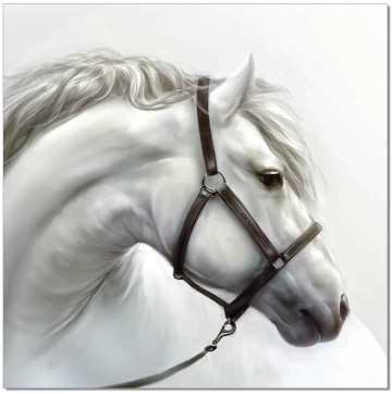 White Horse Illustration Wall Print