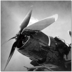 Vintage Airplane B&W Wall Print