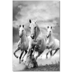 Wild White Horses B&W Print